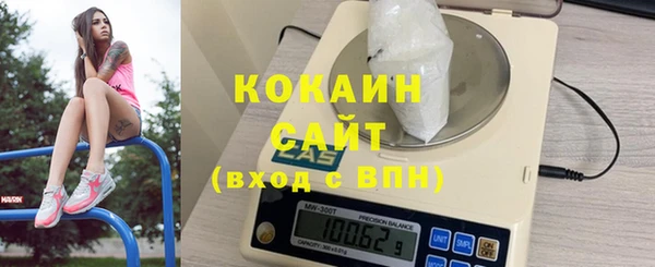 apvp Иннополис