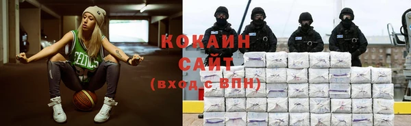 apvp Иннополис