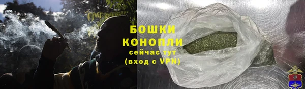 apvp Иннополис