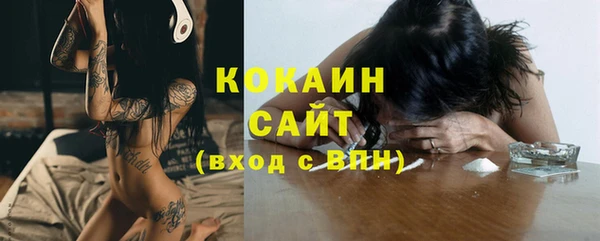 apvp Иннополис