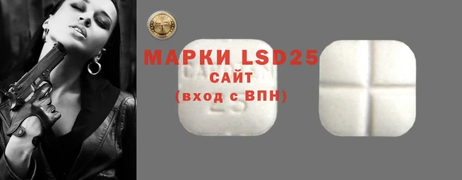 apvp Иннополис