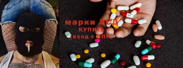 apvp Иннополис