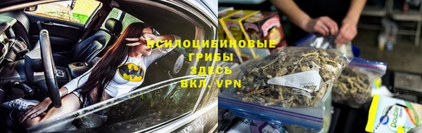 apvp Иннополис
