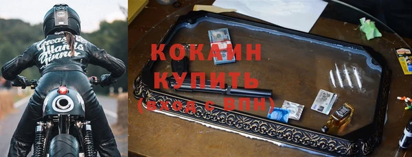 apvp Иннополис