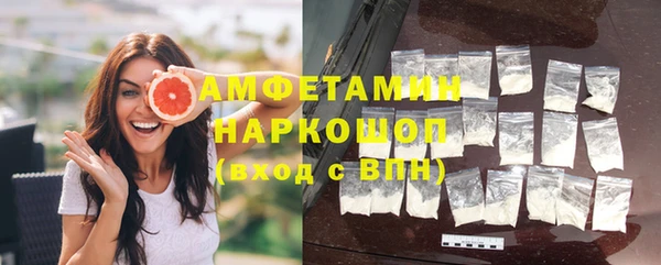 apvp Иннополис