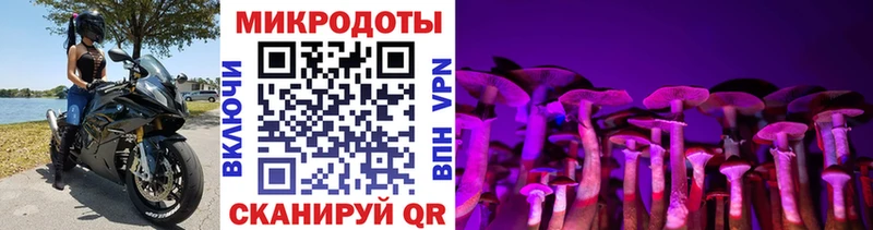 Псилоцибиновые грибы MAGIC MUSHROOMS  Купить  Богородицк 