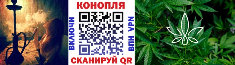 Купить где  Богородицк  Шишки марихуана семена 